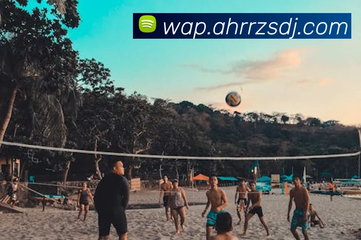 乐竞体育app在线登录APP 封面图